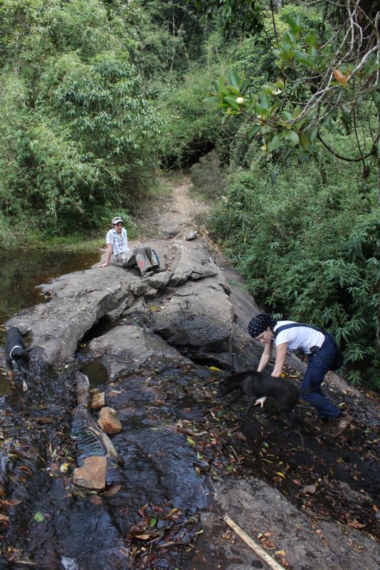 India 2010 - Coorg - Honey Valley - Trek towards Tadiandamol - Homestay to Waterfall